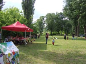 2012. Falunap, gofrisütés