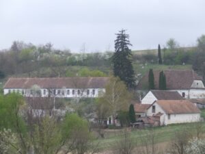 Tavasz