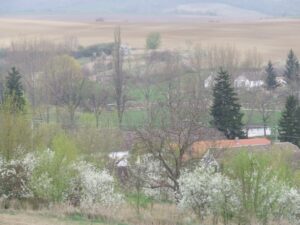 Tavasz