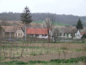 Tavasz