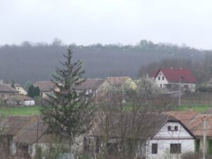 Tavasz