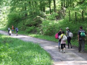 1. Mai 2014 - Wanderung nach Papd