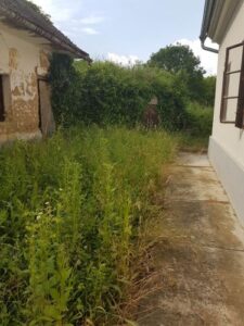 2. Paplak piknik