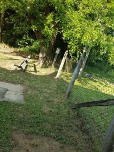 2. Paplak piknik