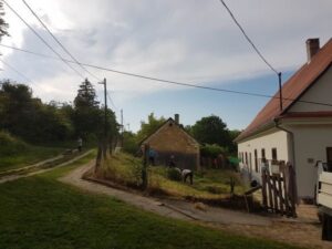 2. Paplak piknik