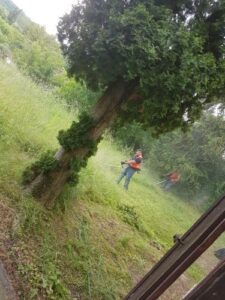 2. Paplak piknik