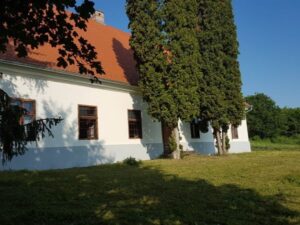 2. Paplak piknik