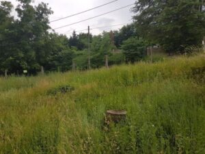 2. Paplak piknik