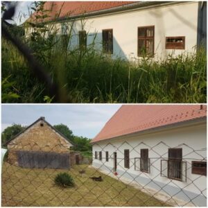 2. Paplak piknik
