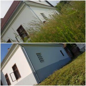 2. Paplak piknik